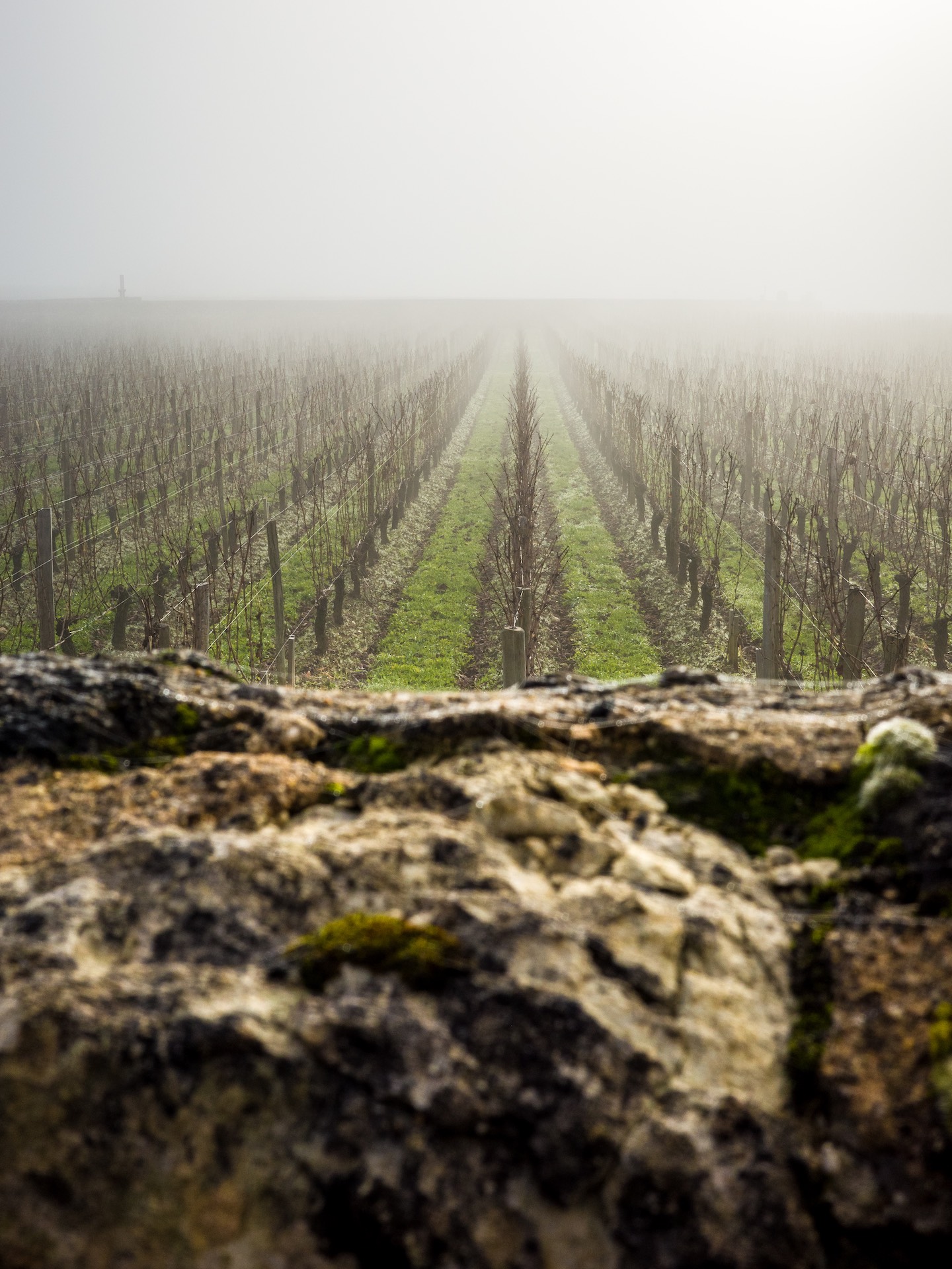 Saint-Emilion